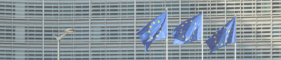 banderas europeas ondeando frente a gran edificio. Concesión de ayudas europeas.